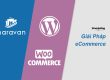 Haravan và WordPress